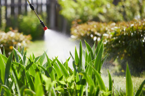 Tamper-Resistant Bait Stations for Rodents in Liberal