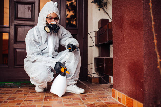 Attic and Crawl Space Rodent Treatment in Liberal