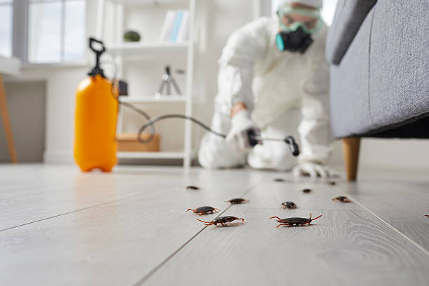 Commercial Rodent Management in Liberal